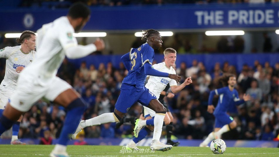 他在青年联 他在青年联